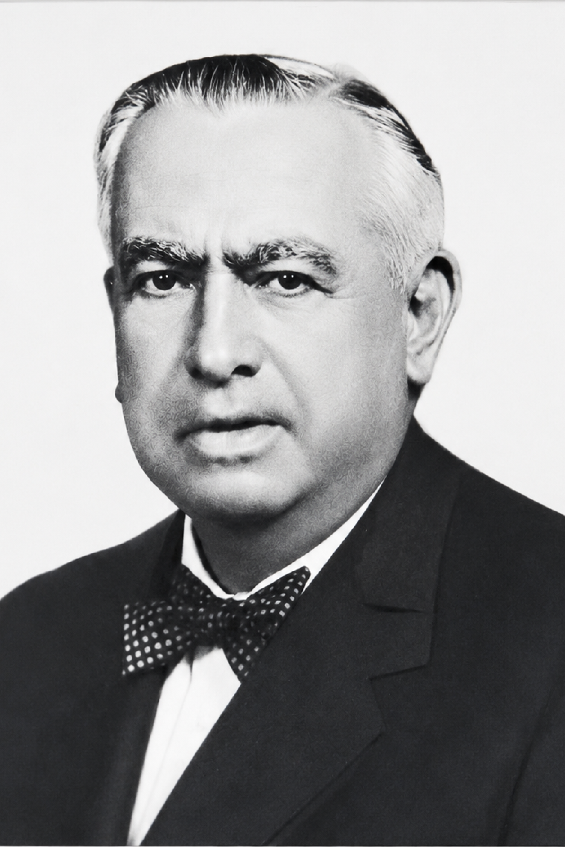 Retrato de Fermín Málaga Santolalla